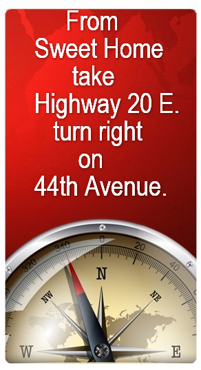Compass Banner Widget